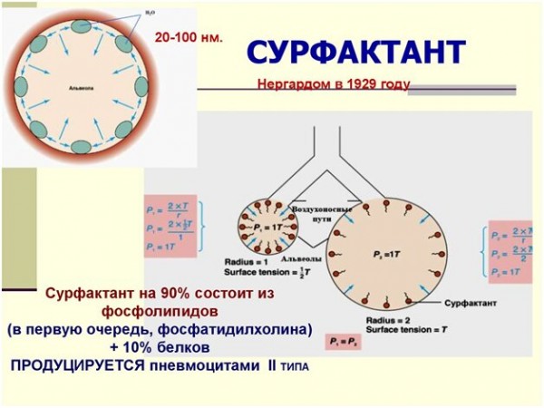 Лидокаин для лечения Covid 19