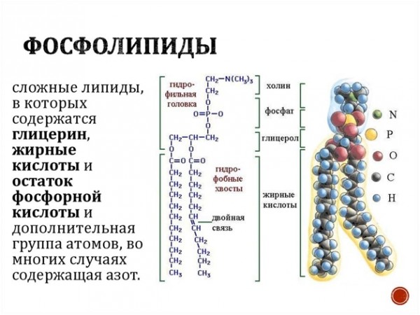 Лидокаин для лечения Covid 19