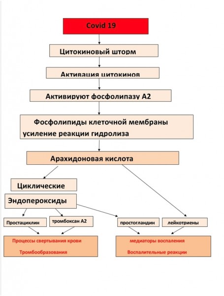 Лидокаин для лечения Covid 19